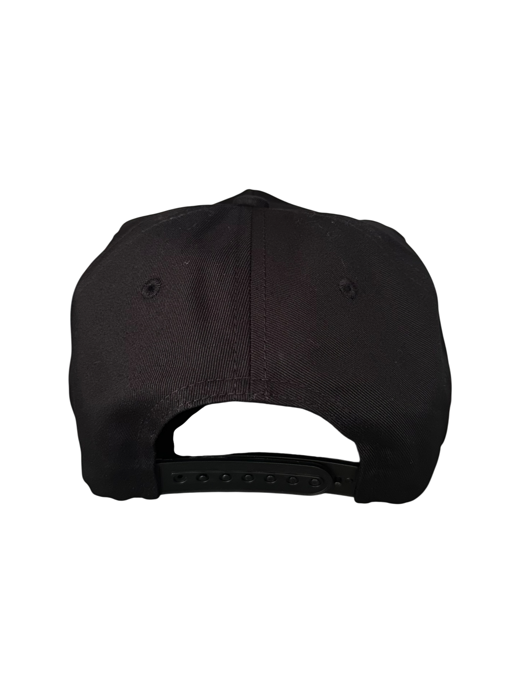 D-STAR Snapback Hat