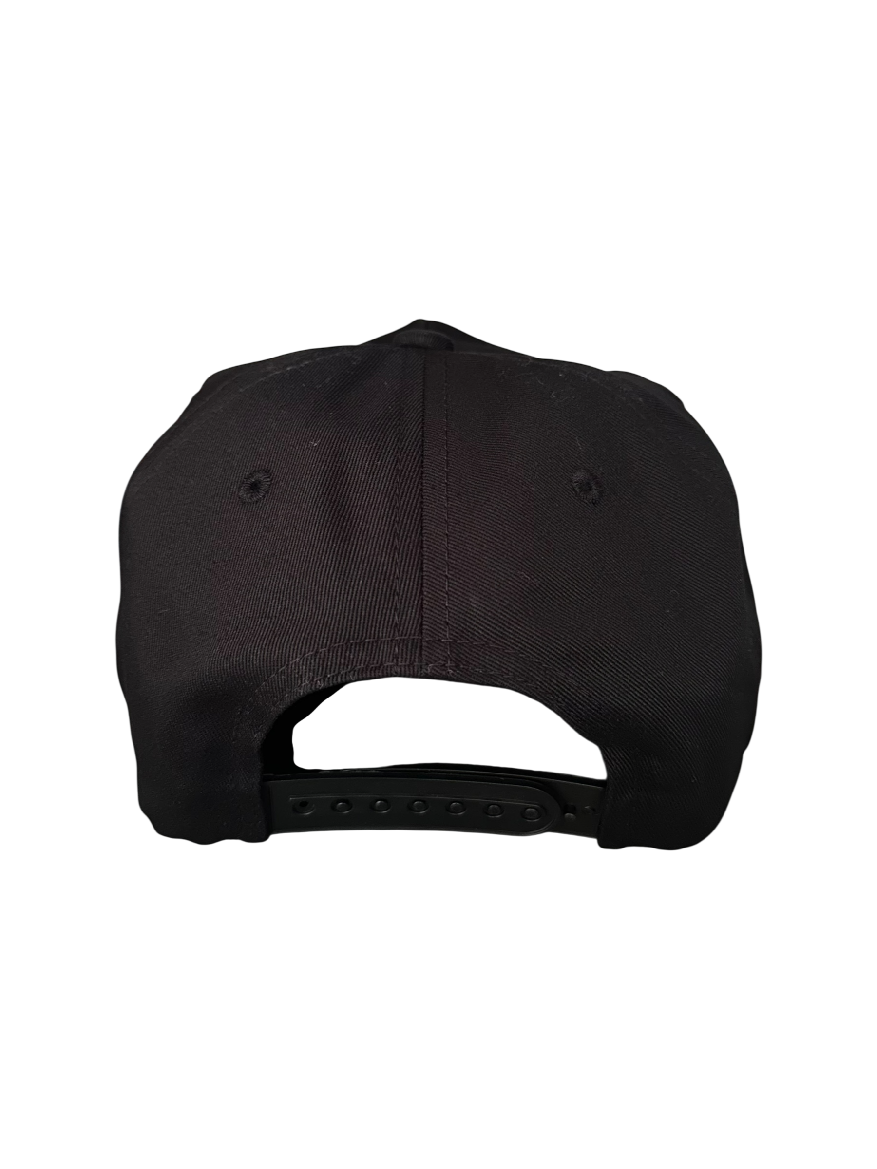 D-STAR Snapback Hat
